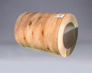 Holzmaserppgi -PPGL -Spule
